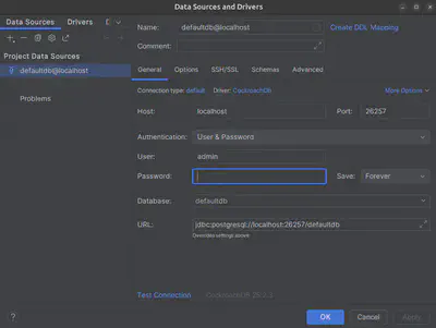 DataGrip connection properties