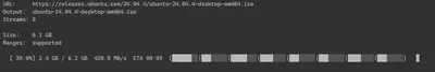 Downloader CLI